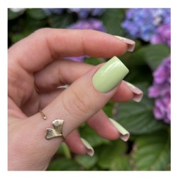 Гел лак 3151 Spring Fever Majida