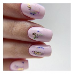 Гел лак 3153 Blooming Love Majida