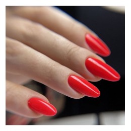 Гел лак 3118 Anonymous Majida