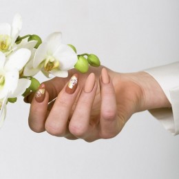 Гел лак 3101 Cherish Majida