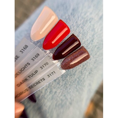 Гел лак 3169 Turkish Delights Majida