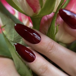 Гел лак 3170 Dark Tulip Majida