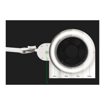 Прахоуловител 4 BLANC Alize