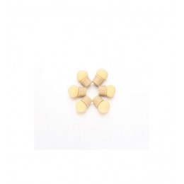 Гъбички за аеропуфинг