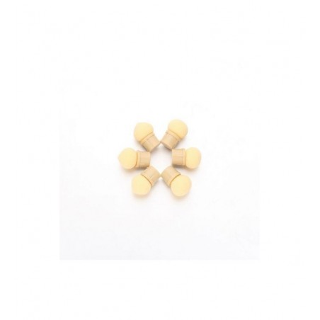 Гъбички за аеропуфинг