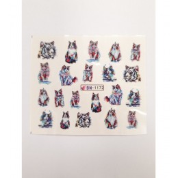 Слайдер дизайн BN-1172