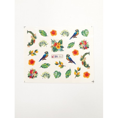 Слайдер за дизайн BN-867