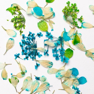 Сухи цветя Semilac Spring Meadow