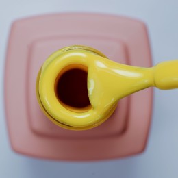 Гел лак 113 Xbeauty